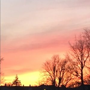 Meet your Posher, Kasey